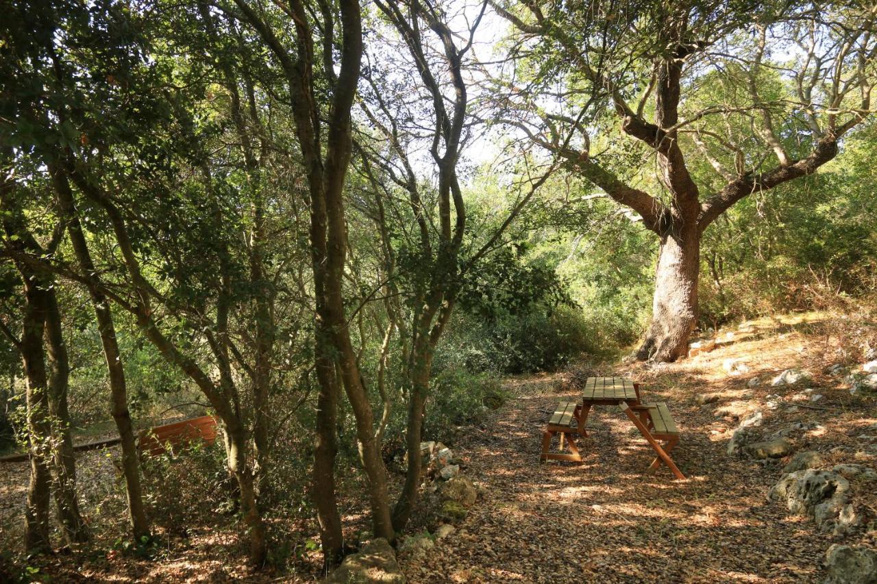 פרזיצ'ה Antica Masseria Pescu מראה חיצוני תמונה